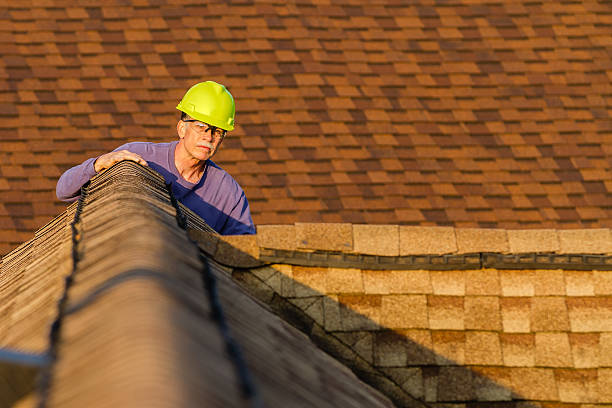 Best Roof Maintenance Services  in New Baden, IL